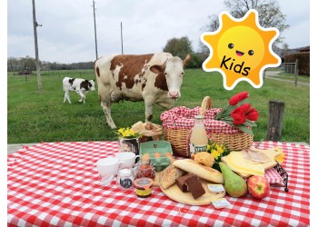 Picknick kind